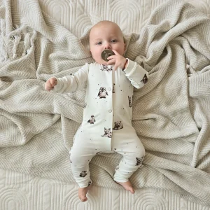 Boxpakje Antartica sephia