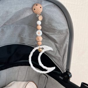 Wagenhanger maan daisy