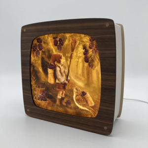 Toverplaat A Berry’s tale