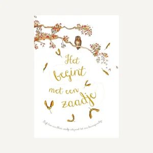 Het begint met een zaadje