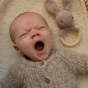 SBM konijn rammelaar