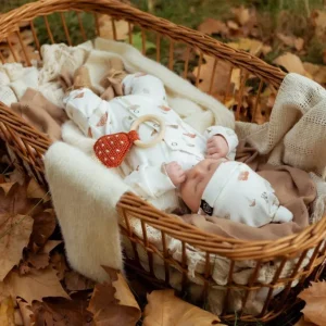 Paddenstoel rammelaar